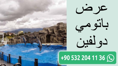 عرض باتومي دولفين
